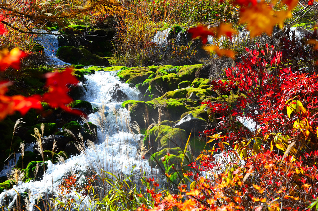 秋色の流れ