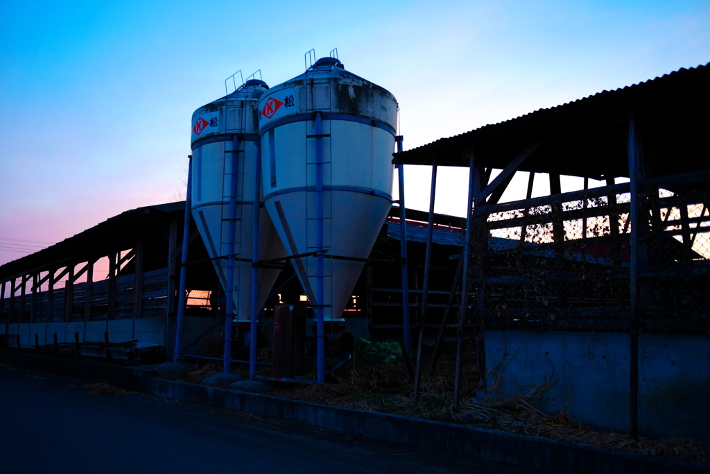 牛小屋と夕日