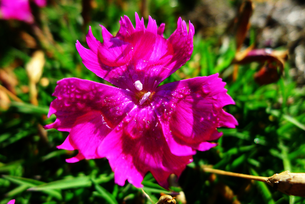 君は元気だ！！