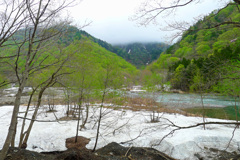谷川に春