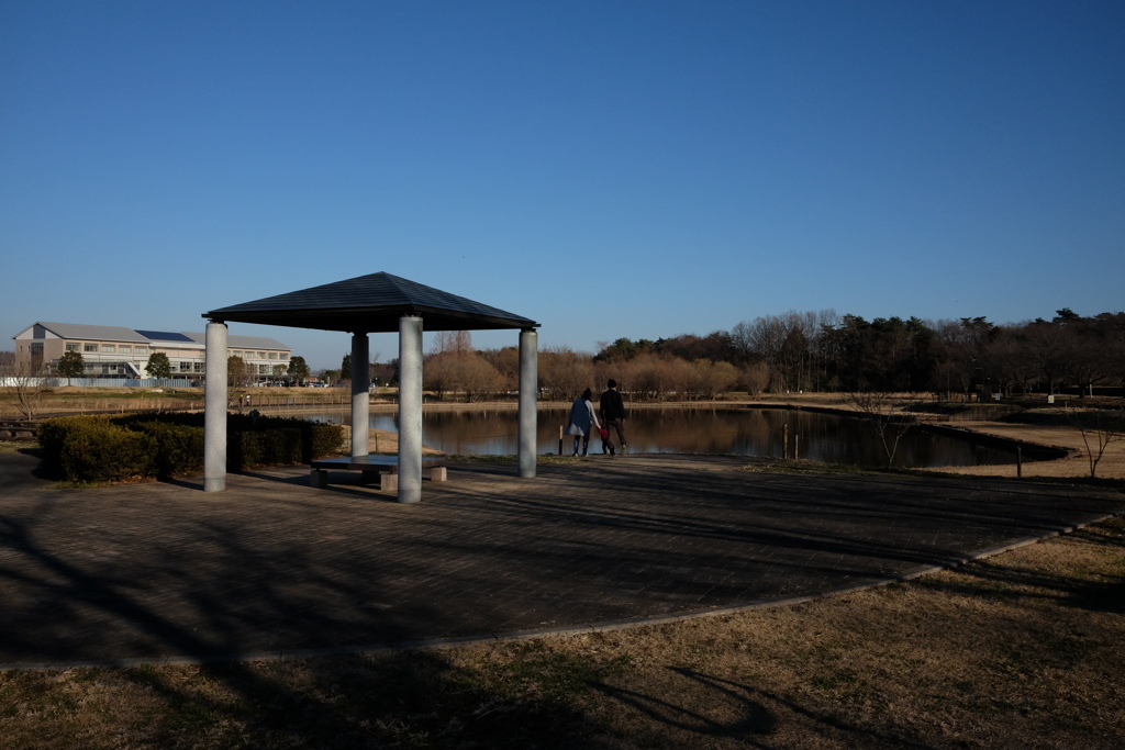冬の公園風景