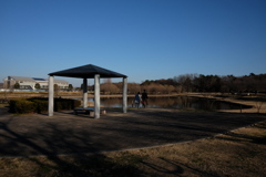 冬の公園風景