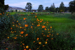 夕暮れ
