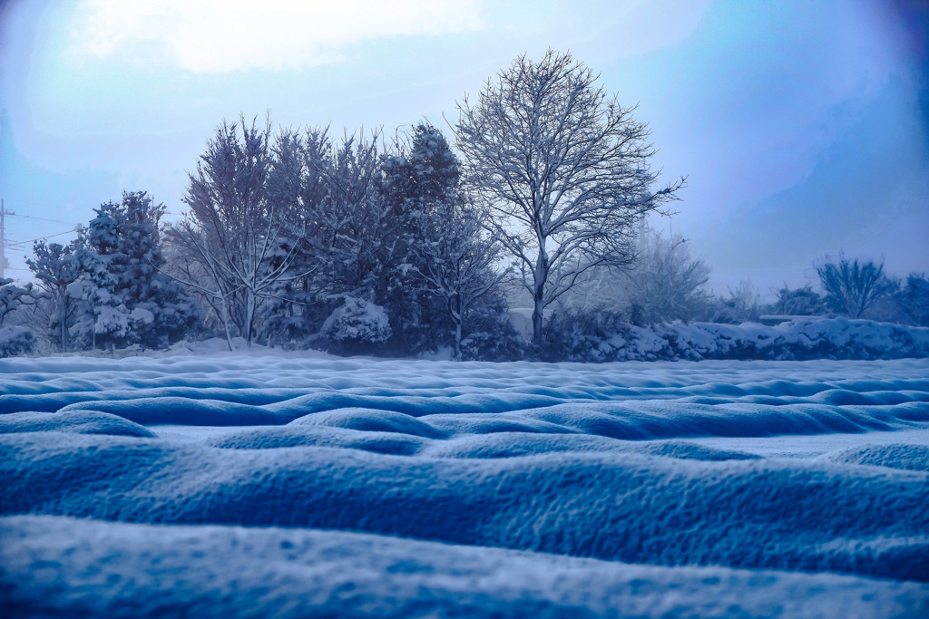 平野の突然の雪景色
