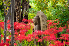 一瞬の曼珠沙華