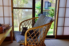 わが家のドン後ろ姿