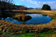 冬の里池