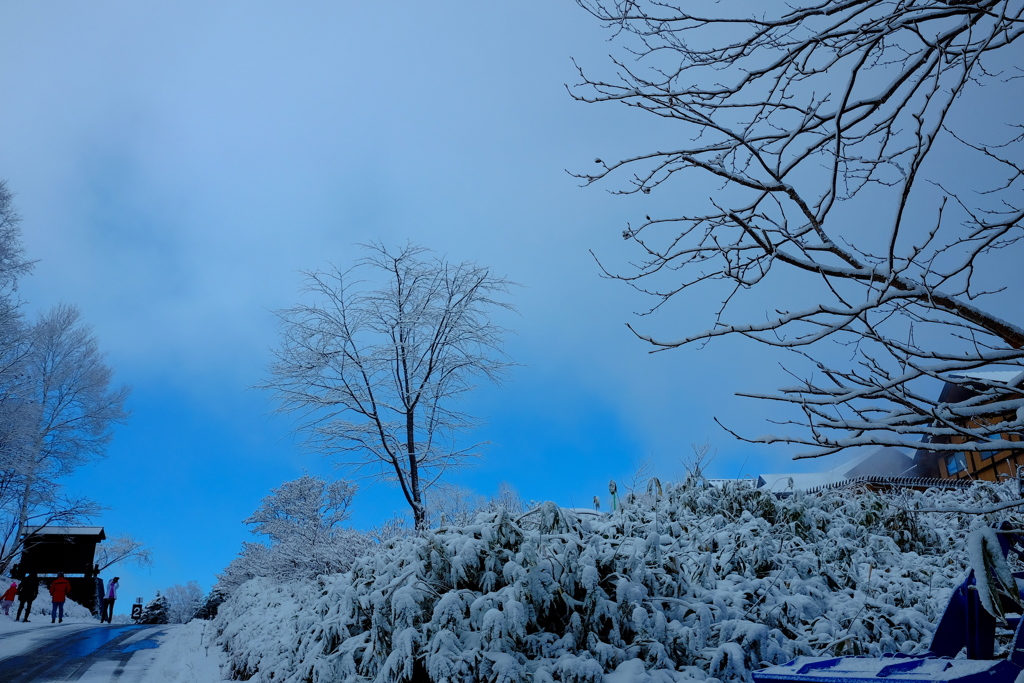 初雪２