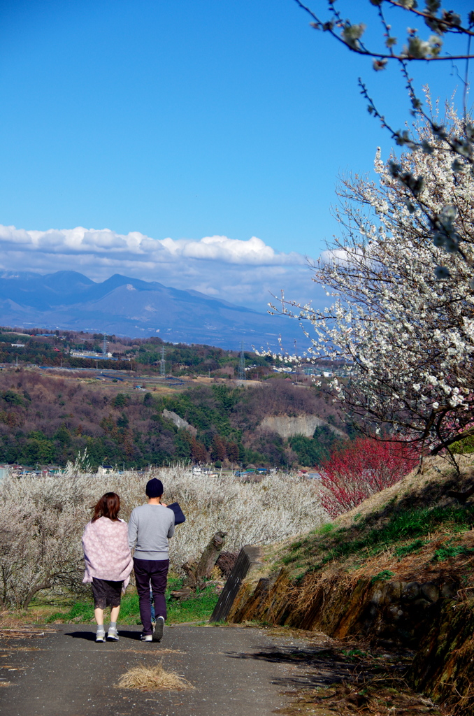 思い出を刻む道