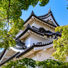 彦根城の天守