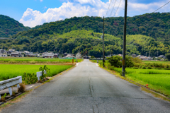 夏景色②