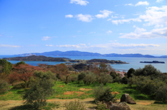 瀬戸の海