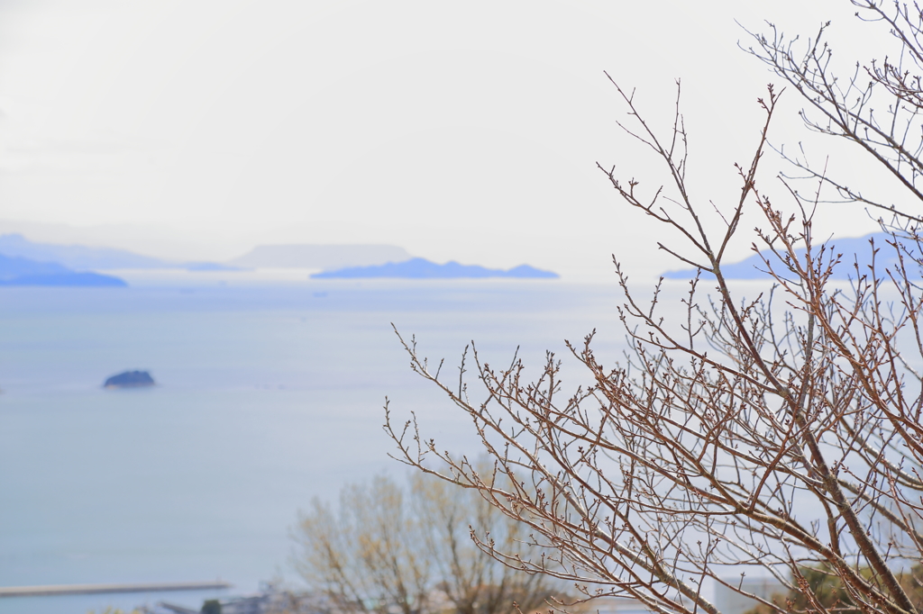 その向こうにある海