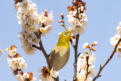 背伸びをしてでも