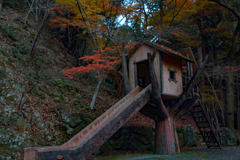 森の奥の滑り台