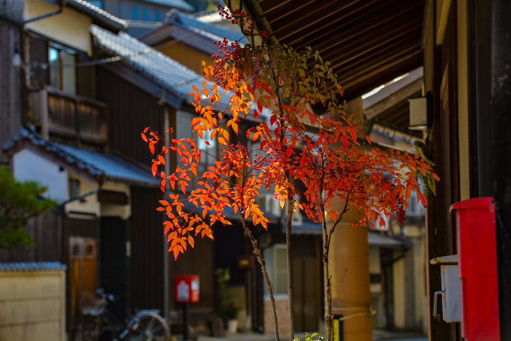 街角の紅葉