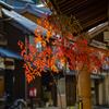 街角の紅葉