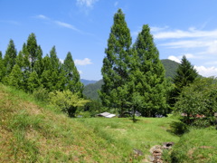 のどかな風景を求めて