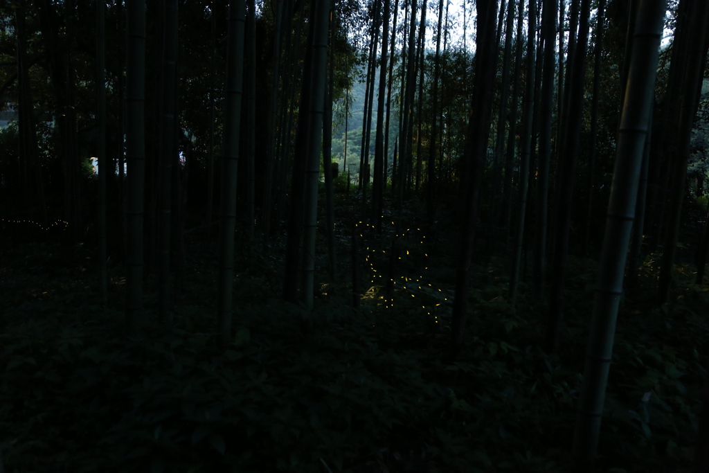 キャラクター？