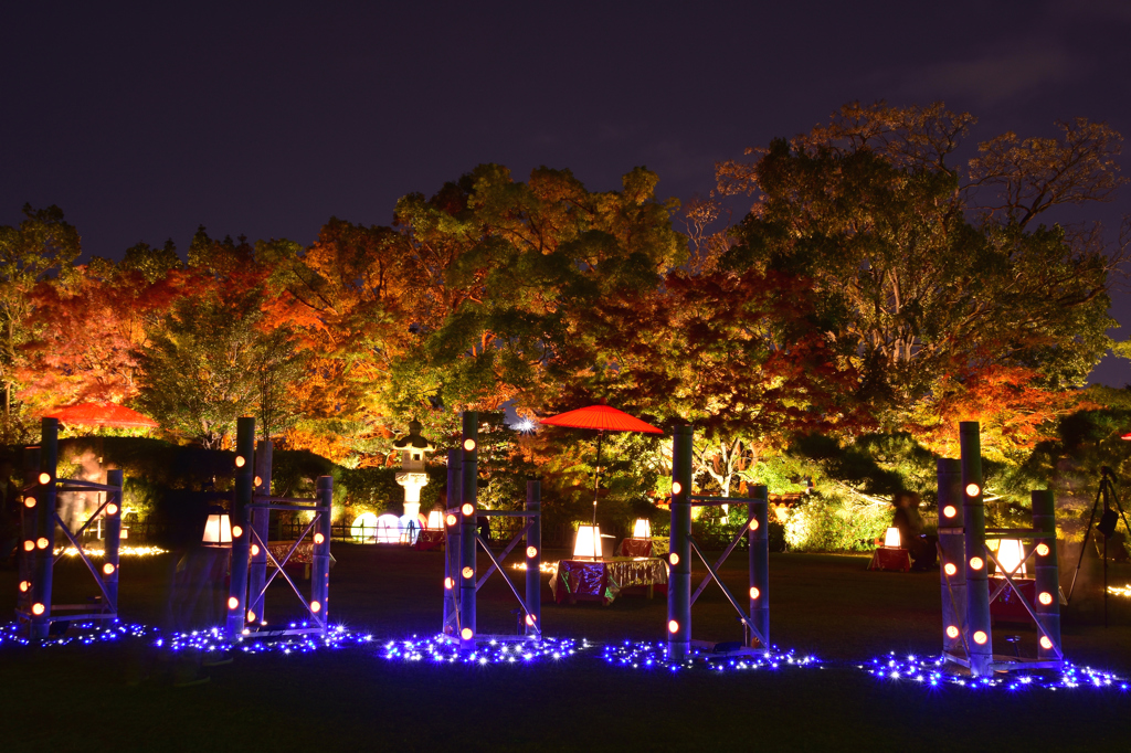 DSC_0701[1]