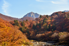 鳥取大山の紅葉