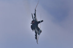 DSC_2082[1]