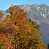 鳥取大山の紅葉