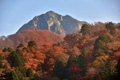 鳥取大山の紅葉