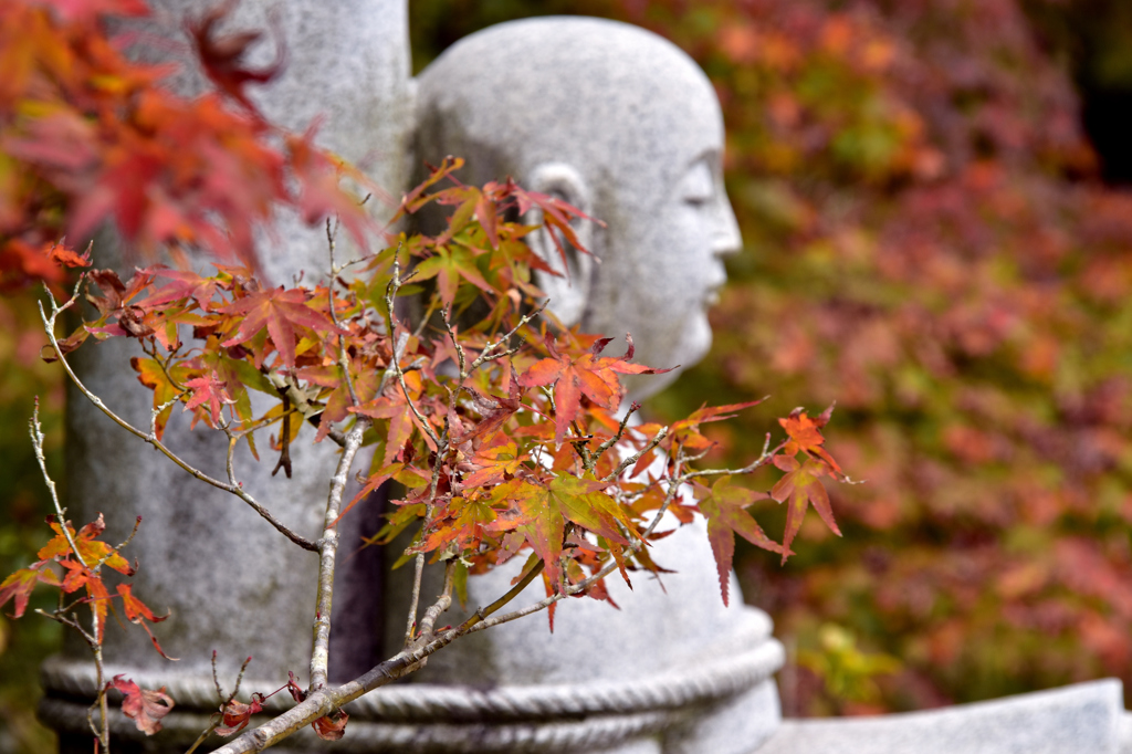 DSC_0447[1]