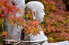 DSC_0447[1]
