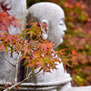 DSC_0447[1]