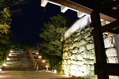 DSC_0711[1]