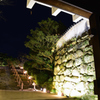 DSC_0711[1]