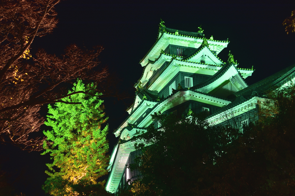 DSC_0730[1]