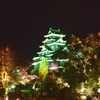 DSC_0728[1]