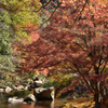 DSC_0405[1]