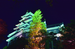 DSC_0724[1]
