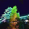 DSC_0724[1]