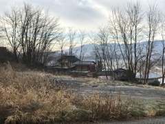日曜の朝
