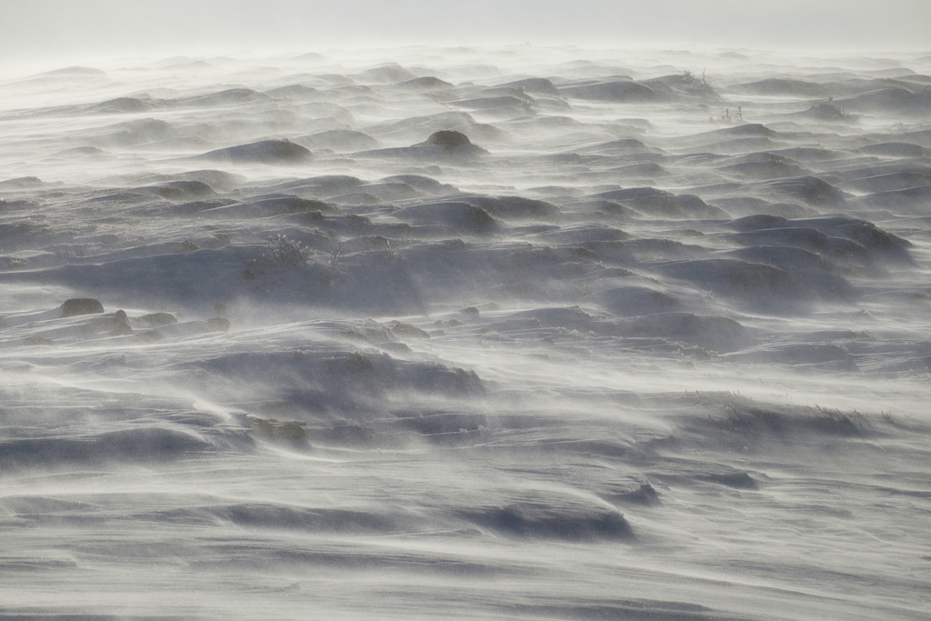 地吹雪