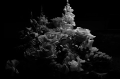色を忘れた花たちは・・・