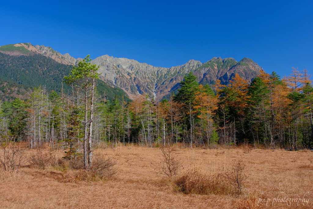 田代湿原