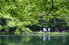 軽井沢ポタリング～雲場池