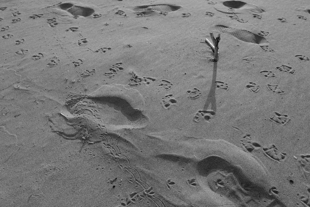 footprints 