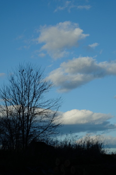 雲
