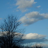 雲