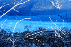 氷結