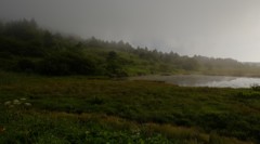 八島ヶ原湿原