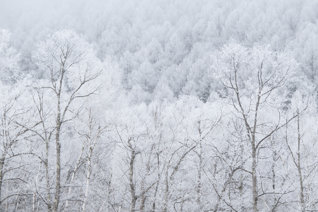 雪景色