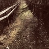 秋の散歩道